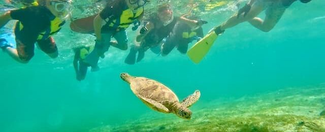 奄美大島研修旅行 体験型フリースクール「みんなのおうち」