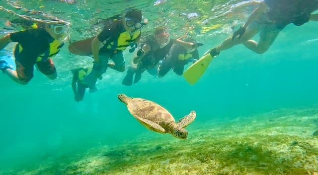 奄美大島研修旅行 体験型フリースクール「みんなのおうち」